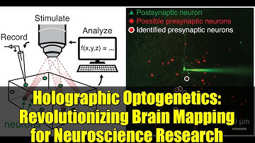 Holographic Optogenetics: Revolutionizing Brain Mapping for Neuroscience Research