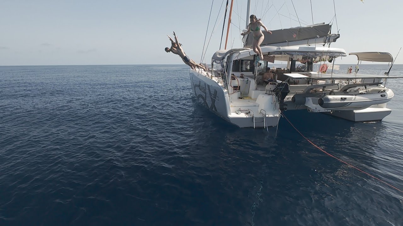 Diving into the Timor Sea