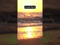Why You Can T Stop Smiling When You See Your Crush Heartbeat Crushfeelings Dopaminerush mp3