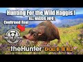 Hunting For The Wild Haggis ! - theHunter Call of the wild