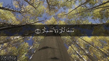 79 سورة النازعات بصوت الشيخ مشاري بن راشد العفاسي