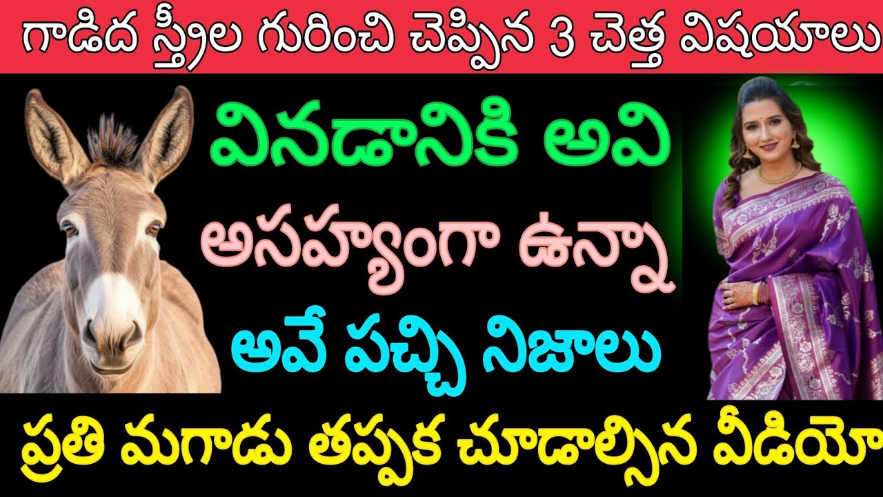 గాడిద స్త్రీల గురించి చెప్పిన 3 చెత్త విషయాలు వినటానికి అసహ్యంగా ఉన్న అవే పచ్చి నిజాలు ప్రతి మగాడు..