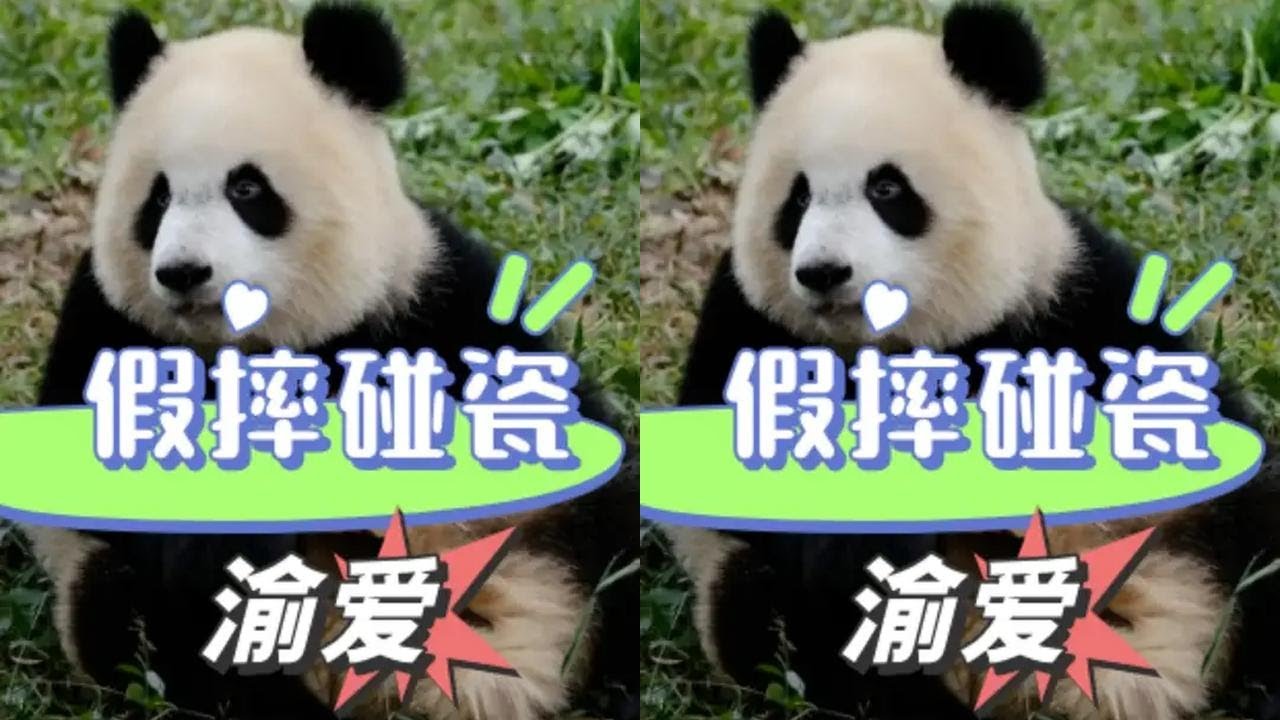 渝爱八百个心眼子都写脸上了吧，想碰瓷外公 在假摔的路上一去不复返