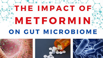 The Impact of Metformin on Gut Microbiome