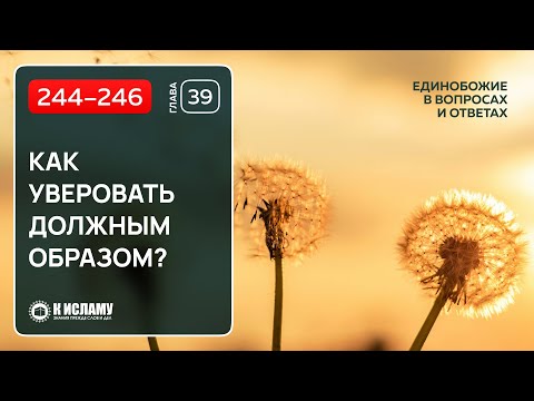 Вопросы 244–246. Как уверовать должным образом? Единобожие в вопросах и ответах