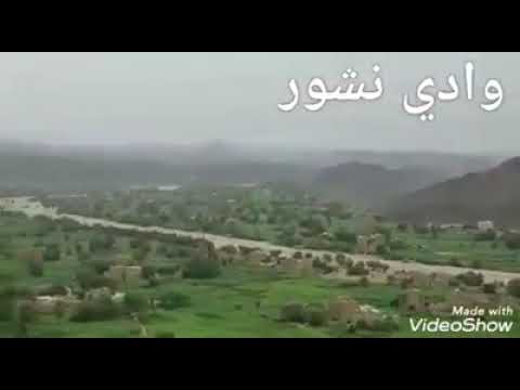 وادي نشور ياخيرت الوديان صدق من قال الديرة الخضراء وايله 