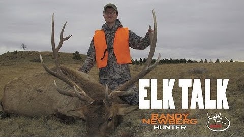 (DIY hunting) ELK TALK - Randy Newberg