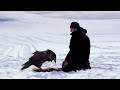 Спасая огромного ворона из ледяной ловушки, мужчина еще не знал чем он отплатит потом