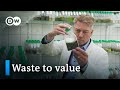 Can algae save the world  dw documentary