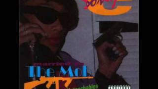 Celebrity Sonya C - Break It - Married To The Mob Net Worth