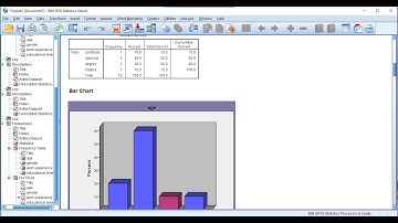 HOW TO ANALYZE QUANTITATIVE DATA USING SPSS.