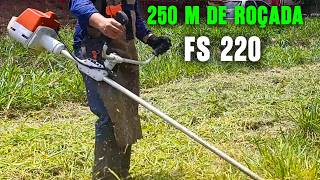 Rocei 250 metros de mato | Terreno fechado