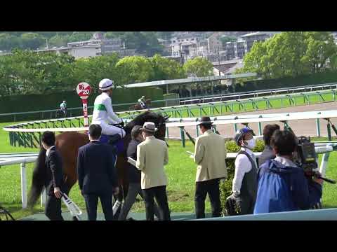 【現地撮影】天皇賞(春)2022 本馬場入場 ヒートオンビートなど