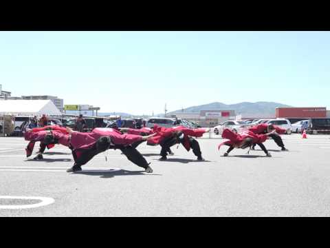 音錦①[南中ソーラン]20160505_ミタスまつり2016[4K]