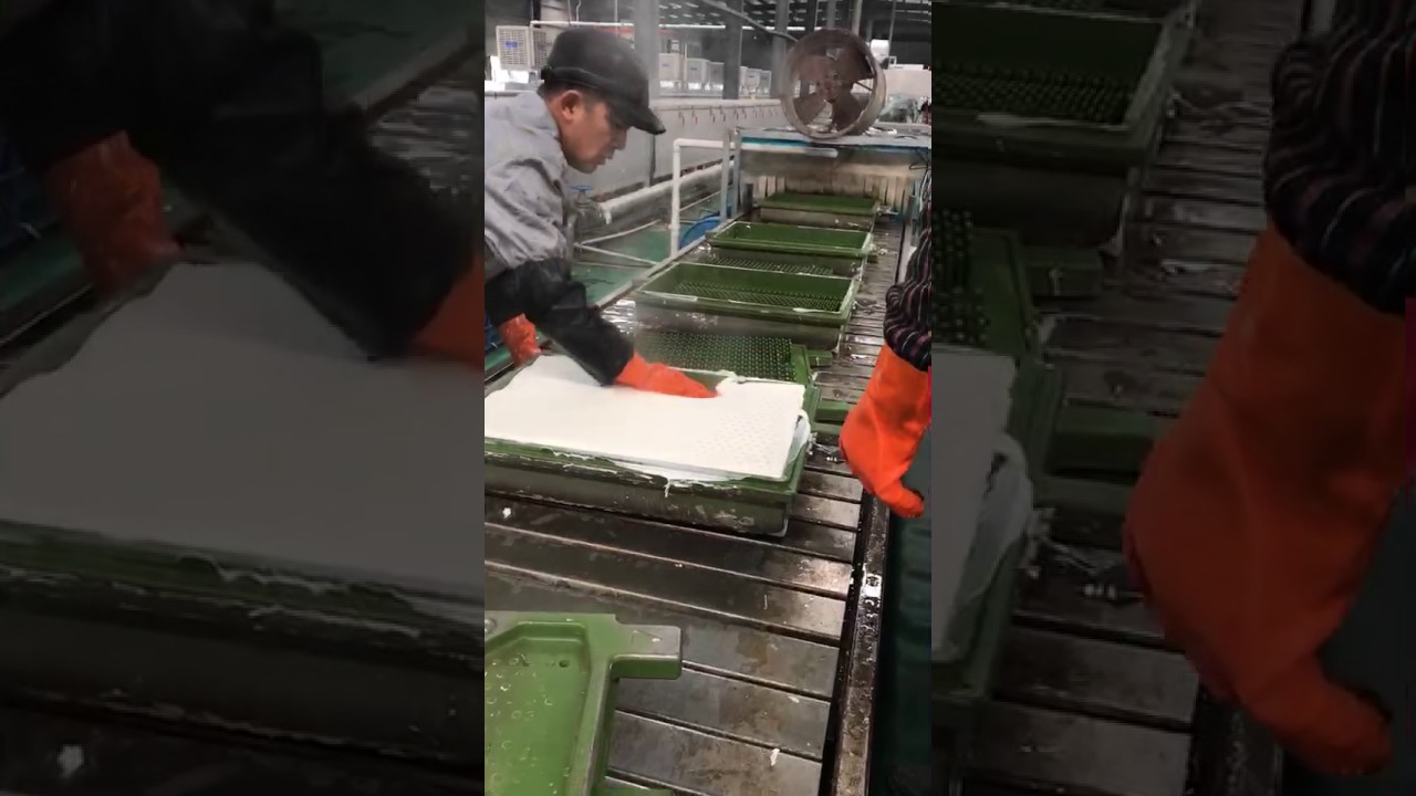 Dunlop latex foam pillow production line YouTube