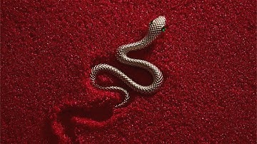 Zach Diamond - PYTHONS (LYRIC VIDEO)