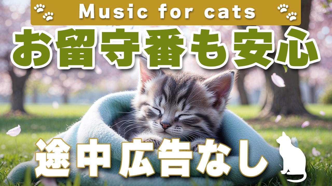 猫が落ち着く音楽｜留守番中も安心できるBGM（12時間・途中広告なし）Relaxing Music for Cats | No Ads | 12 Hours _vol.347