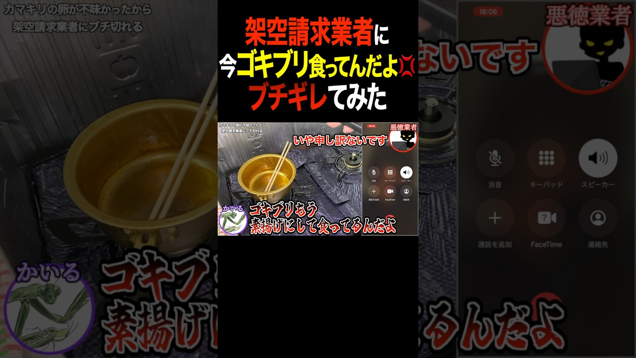 【神回】「今ゴキブリ食ってんだよ!」と架空請求業者にブチ切れて撃退してみたw