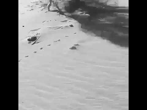 مبروك عليكم طلوع سهيل