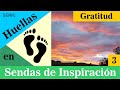 Huellas de Gratitud 3 por Lisa Pedonomou y Ligda Henriquez