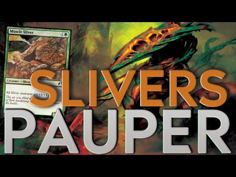 SLIVERS in 2025 - Ultra consistent build! | MTG PAUPER Magic the Gathering