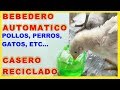 COMO HACER UN BEBEDERO CASERO PARA POLLITOS GALLINAS PERROS Y MAS -  VIVIR EN EL CAMPO