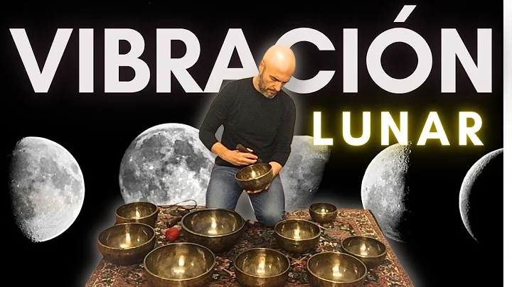 Concierto vibracional con cuencos tibetanos | Rela...