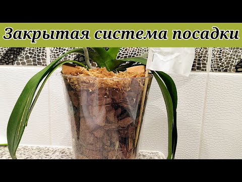 Video: Kaip sukurti kompiuterio standųjį atsarginę kopiją su 