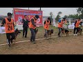 German Shepherd Dog Show | Breed Judging