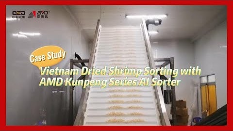 Vietnam Dried Shrimp Sorting Line with AMD Kunpeng Series AI Sorter