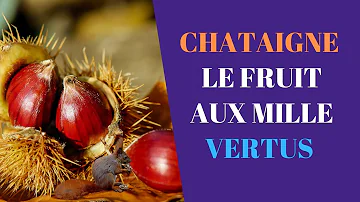 Est-ce que la châtaigne est calorique ?