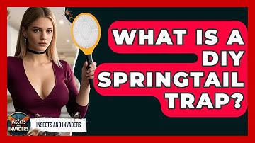 What Is A DIY Springtail Trap? - Insects and Invaders
