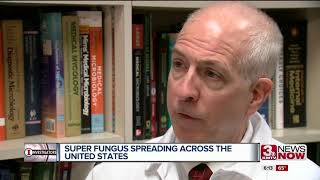 Deadly Fungus Spreading Across Country