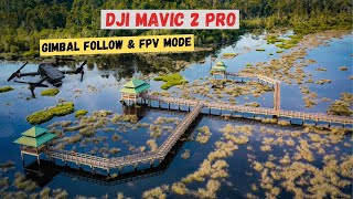 DJI Mavic 2 Pro l Gimbal Follow Mode Vs. FPV Mode l Cinematic Shot l 4K