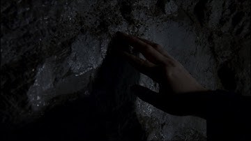 Grace Cathedral Park - mélusine (Official Music Video)