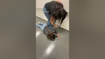 Forensics Locard Principles Video