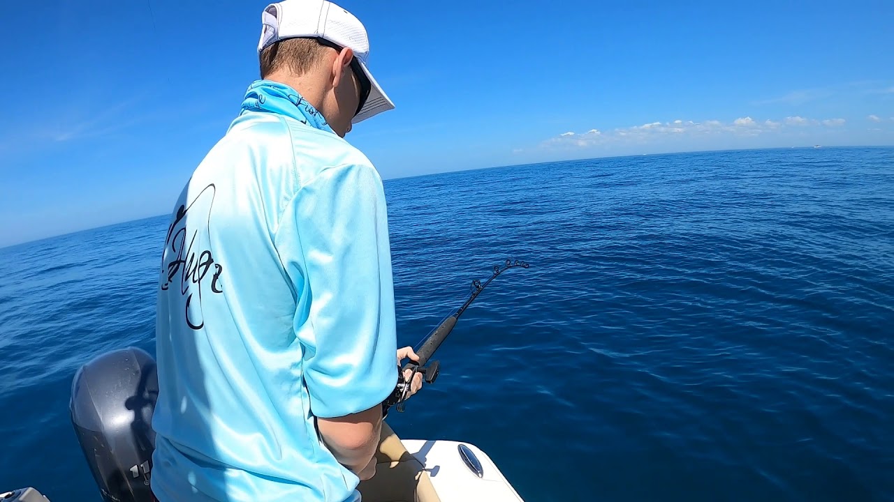 Red and Gag grouper in the gulf