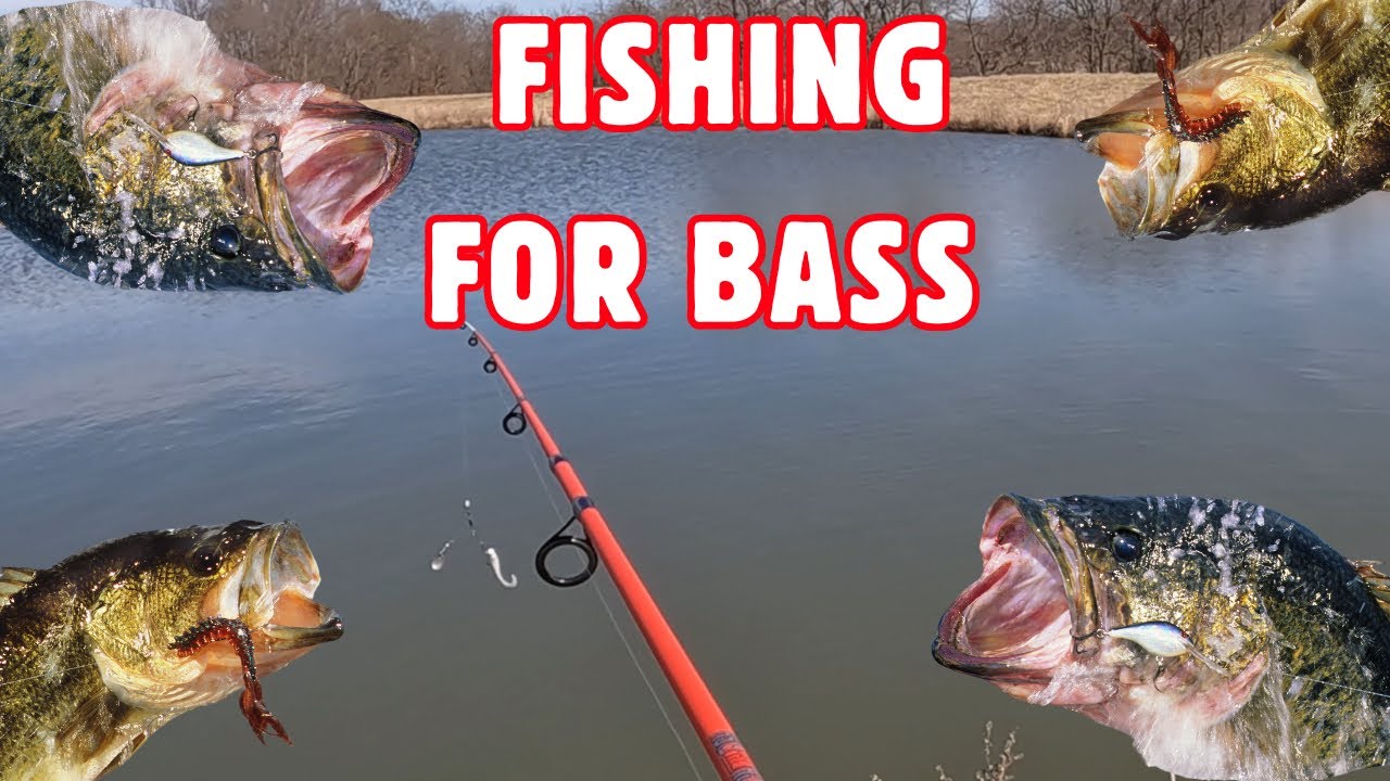 Bass Fishing Gone Wrong ⁉️ IDK