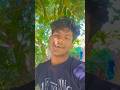 Handsome Hero · Khesari Lal Yadav · Beauty PandeyHandsome Hero | #short |