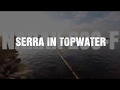 Mega serra in canna attacchi in diretta con il narak 230f geppetto lures