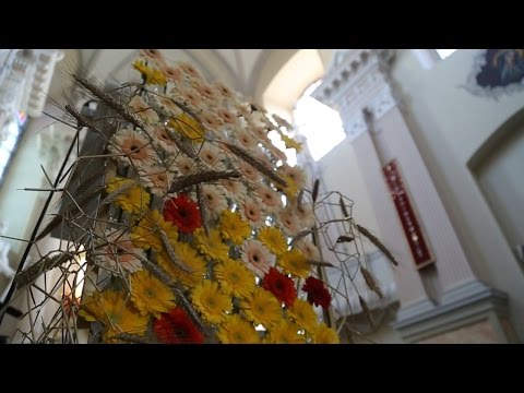 Video: Ką Daryti Floristui Kovo Mėnesį