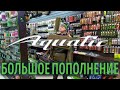 Долгожданное пополнение Aquatic в магазине GREEN FISH