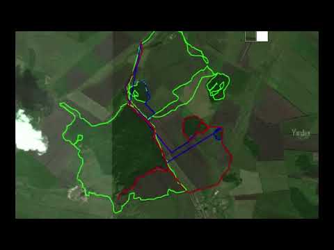 Как добровольцы ищут пропавшего человека? Ответ на видео