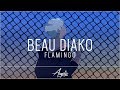 Beau Diako Flamingo Feat Jordan Rakei mp3