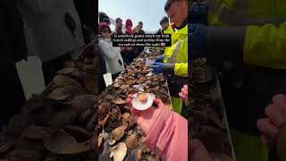 Seafood Literally Cannot Get Fresher Than This I Found This Tour Through Its Called The