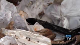 Pierce County waste sort finds lots of recyclables headed to landfill