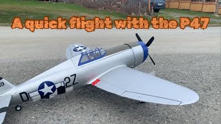 Aerobatics, trim adjustments, and a butter tail wind landing with the P47