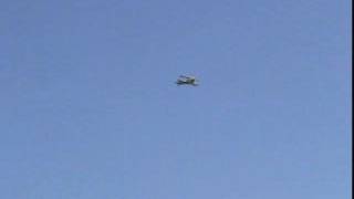 Ultimate Biplane 40S World Models