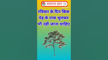 Gk questions and answer Part 8 #gk #trending #viral #staticgk