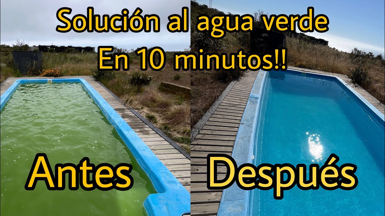 Cómo limpiar una piscina verde